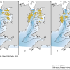 Cod egg counts from various surverys in the Irish Sea.